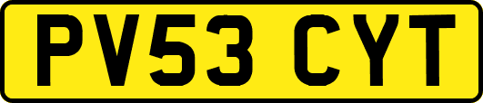 PV53CYT