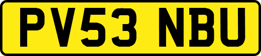 PV53NBU