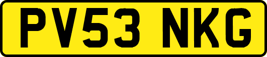 PV53NKG