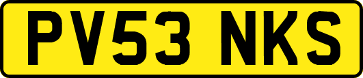 PV53NKS