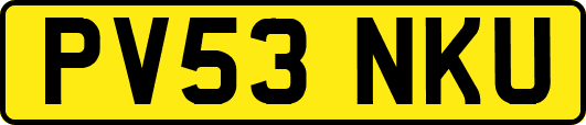PV53NKU