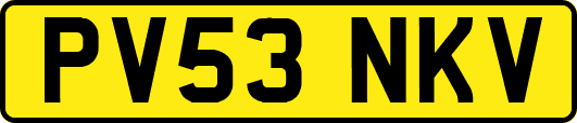 PV53NKV