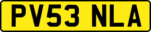 PV53NLA