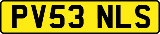 PV53NLS