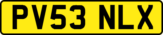 PV53NLX