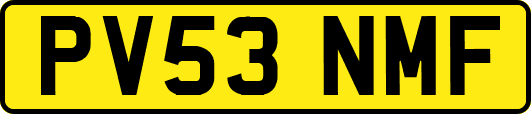 PV53NMF