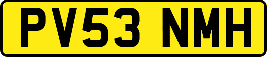 PV53NMH