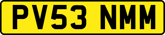 PV53NMM