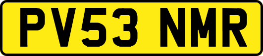 PV53NMR