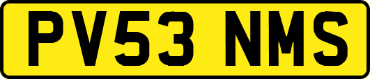 PV53NMS