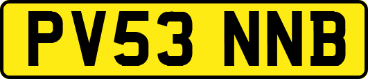 PV53NNB