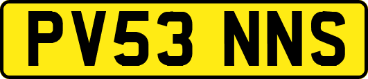 PV53NNS