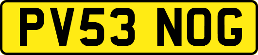 PV53NOG