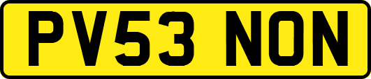 PV53NON