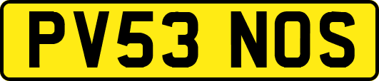 PV53NOS