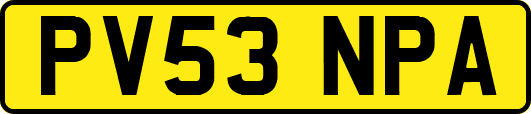 PV53NPA