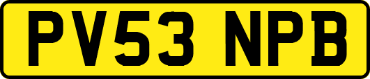 PV53NPB