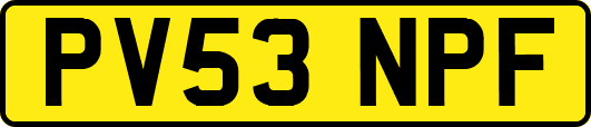 PV53NPF