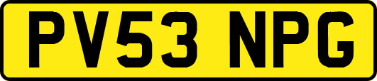 PV53NPG