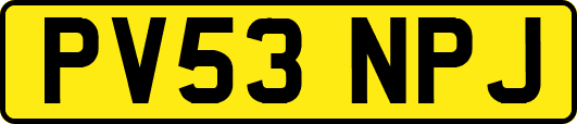 PV53NPJ