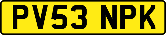 PV53NPK