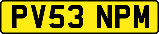 PV53NPM