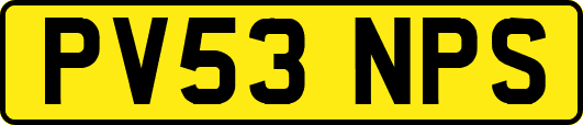 PV53NPS