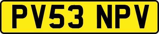 PV53NPV