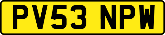 PV53NPW