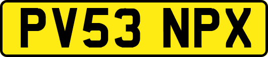 PV53NPX