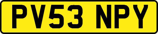PV53NPY