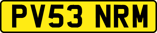 PV53NRM