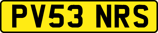 PV53NRS