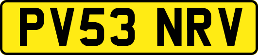 PV53NRV