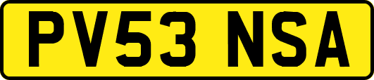 PV53NSA