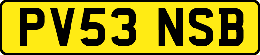 PV53NSB