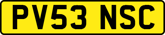 PV53NSC