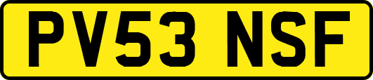 PV53NSF