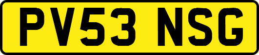 PV53NSG