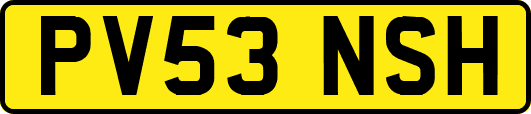 PV53NSH