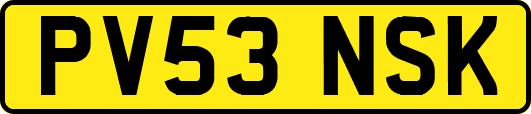 PV53NSK