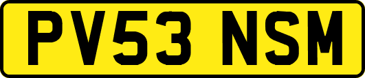 PV53NSM