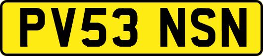 PV53NSN