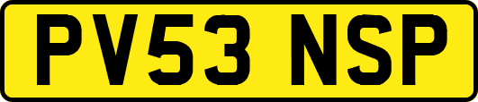 PV53NSP