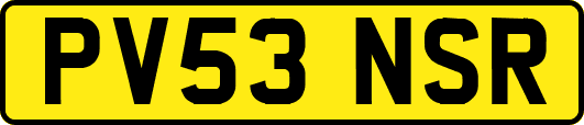 PV53NSR