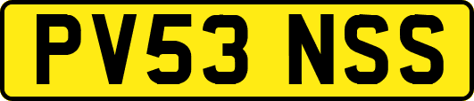 PV53NSS