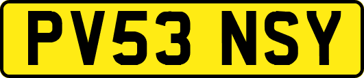 PV53NSY