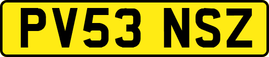 PV53NSZ