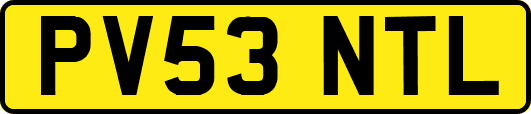 PV53NTL