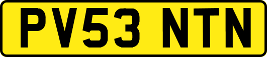 PV53NTN